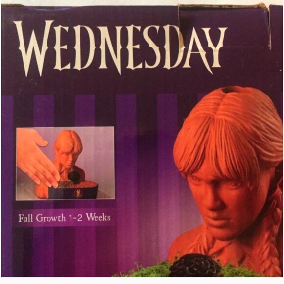 Wednesday Chia Pet Handmade Decorative Planter New•AV - Picture 5 of 8